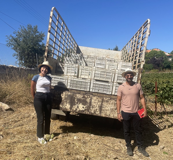 Lebanon - Harvest Karam